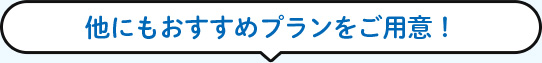 他にもおすすめプランをご用意！