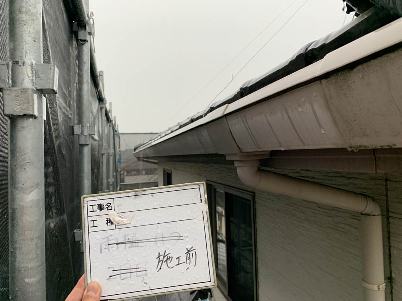 雨樋も汚れと苔がついています。