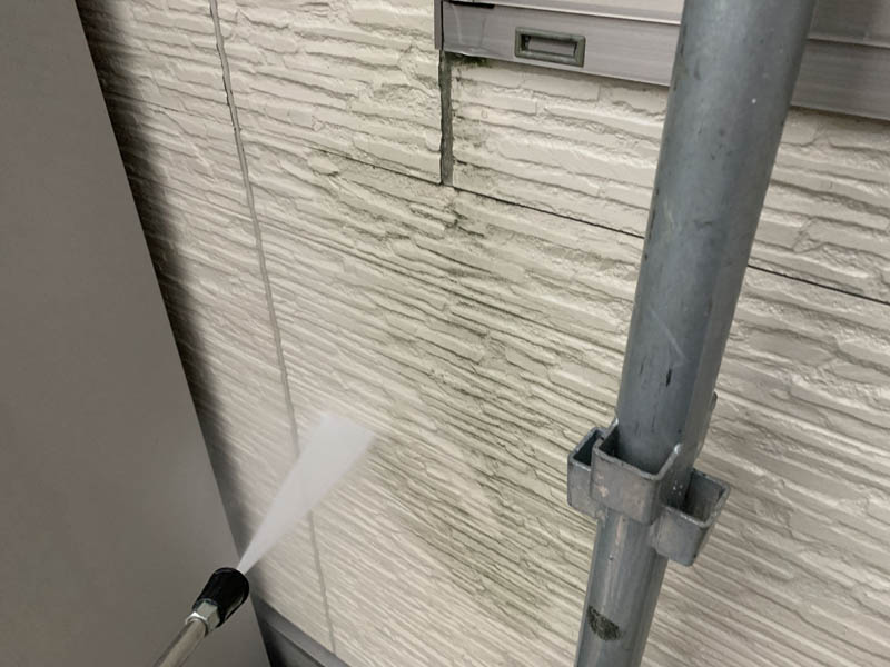 下地が湿気を含み苔が発生している状態です。