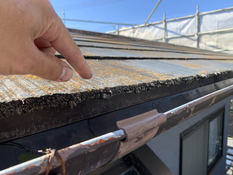 軒先にはびっしりとコケが繁殖しています。