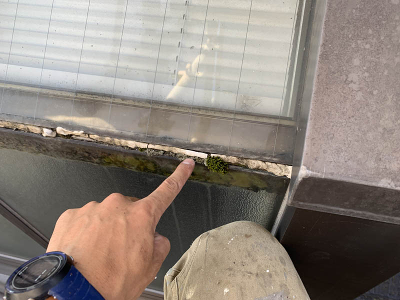 窓ガラス回りのシーリングが劣化しています。雨漏り補修した形跡がありますが、雨漏りは止まっていませんでした。