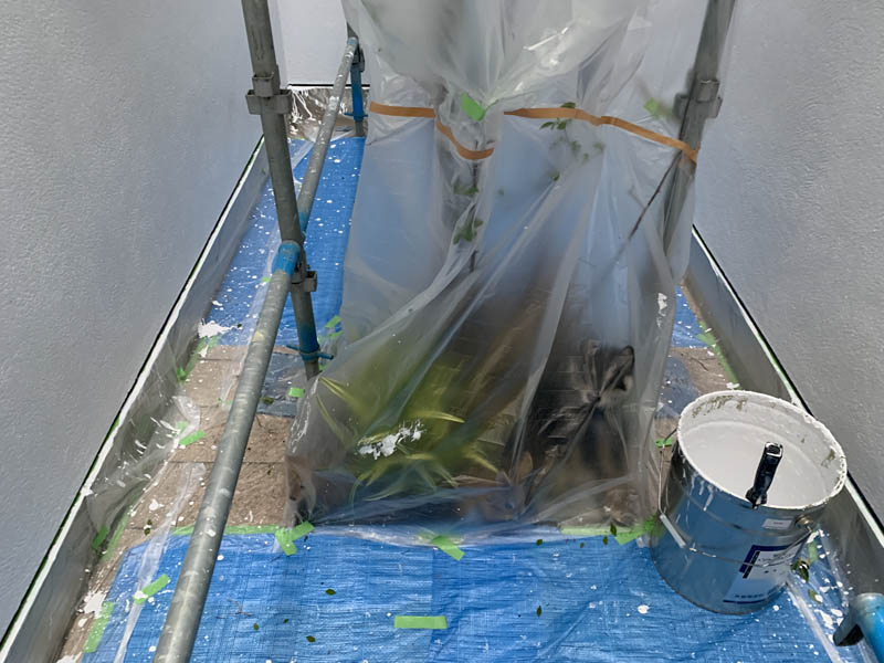 吹き抜け塗装の様子です。