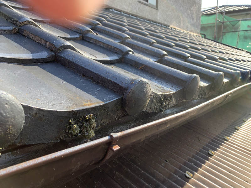 軒瓦にはコケがびっしりとついていました。