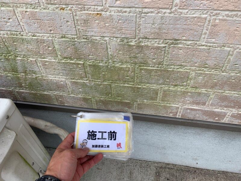 コケや藻が発生しています。