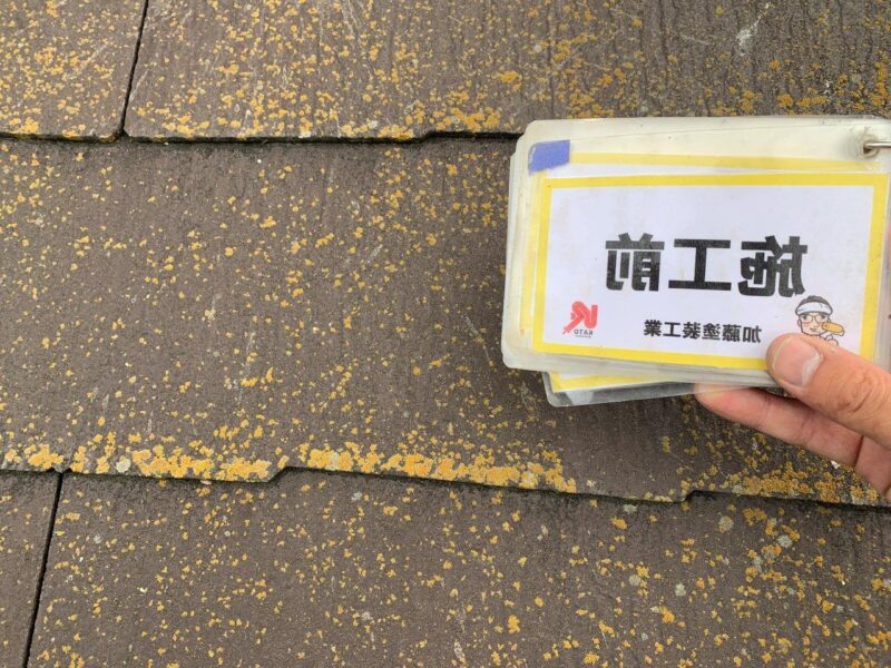 場所によってはこのような状態でした。