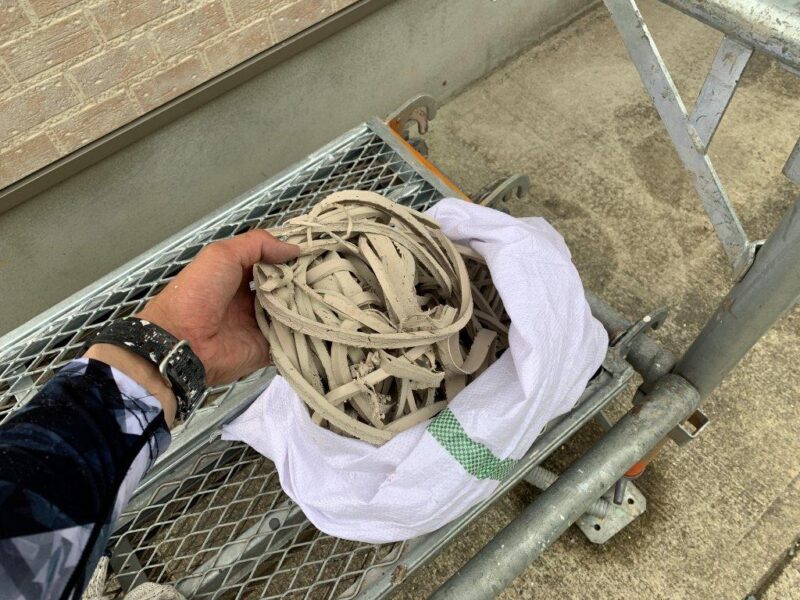 ごっそりとれました。