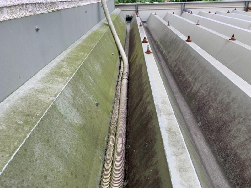 コケや藻が屋根に発生していました。