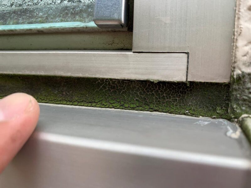 面台のシーリングにコケが発生していました。