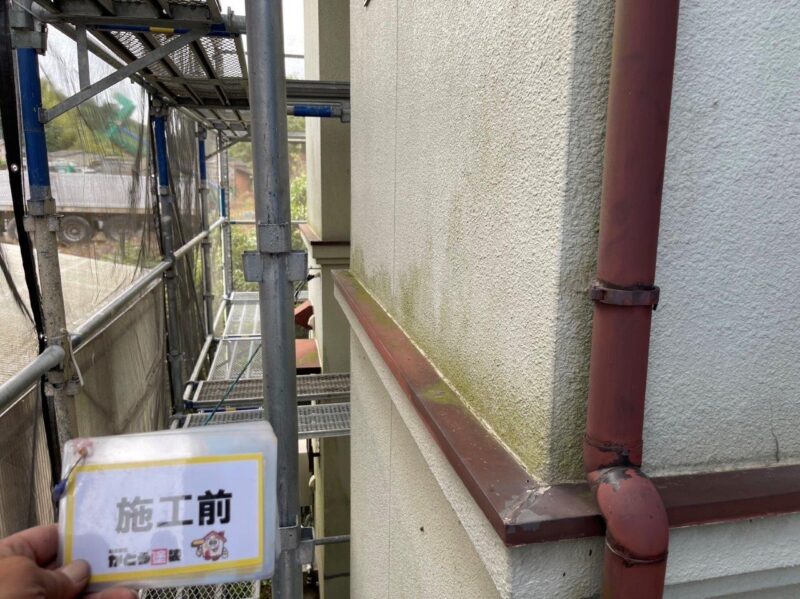 施工前の外壁のお写真です。苔が発生し汚れも目立っています。