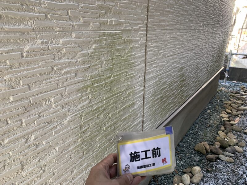 施工前の外壁のお写真です。広い範囲に苔や汚れが付着しています。