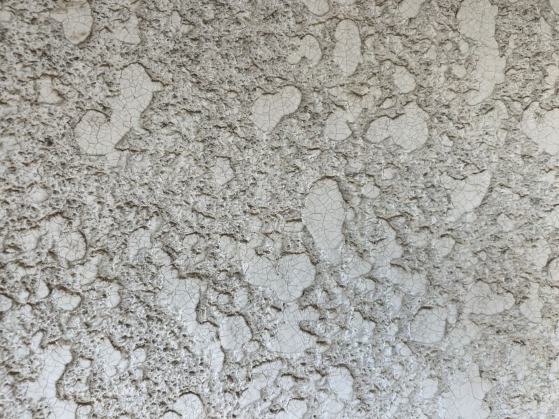 外壁アップのお写真です。<br />タイル吹きの外壁は、表面がデコボコしていて、汚れが付着すると落ちにくくなります。