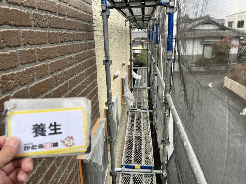 養生の様子です。