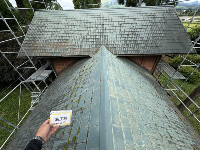 経年による色褪せや苔の発生が全体的に見られます。