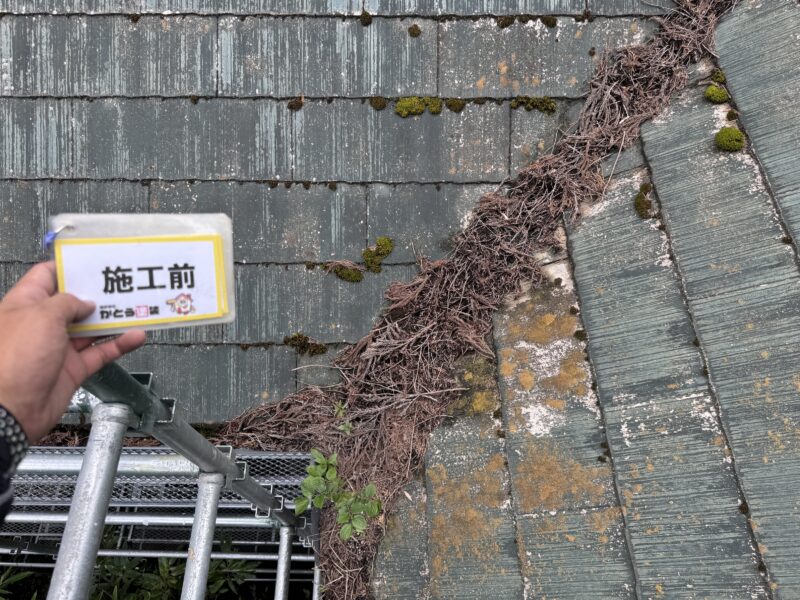 谷板金の部分には、落ち葉などのゴミが溜まっていて雨水が流れにくい状況です。