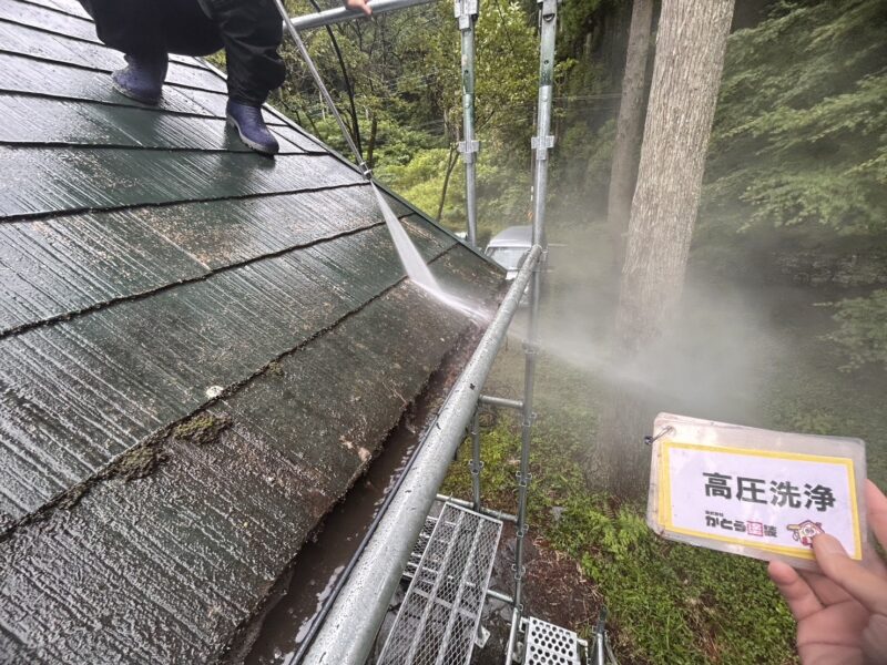 洗浄で藻がボロボロと落ちています。