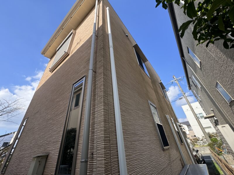 日当たりの悪い箇所は、緑色のコケや藻が大量に付着していました。