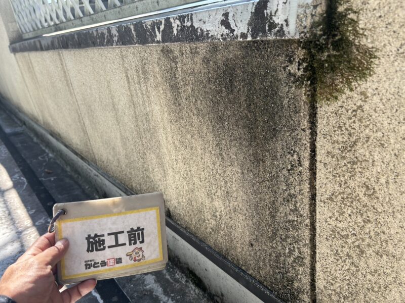 バルコニー内壁は、汚れだけでなくコケや藻が発生していました。