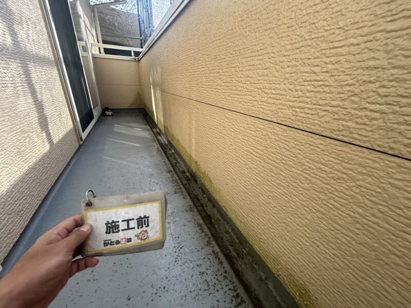 内壁は、日当たりが悪くコケや藻が発生していました。