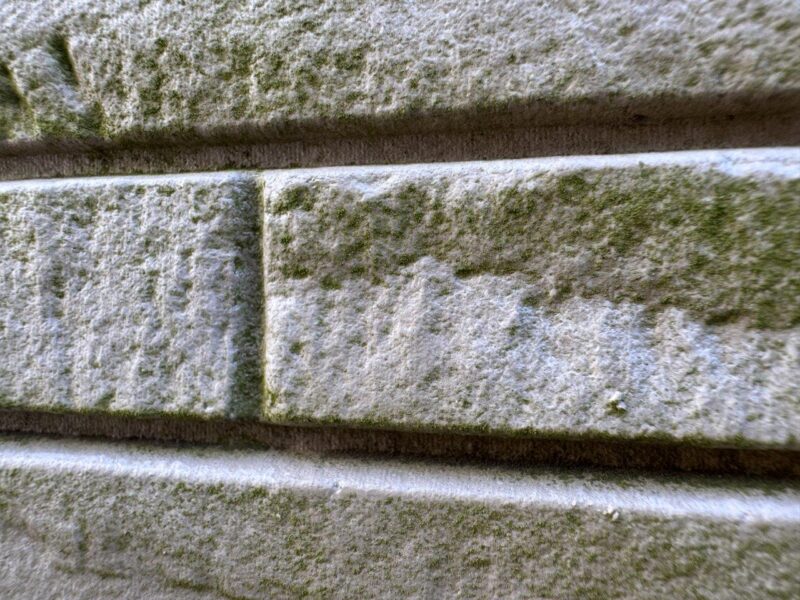 藻が付いています。