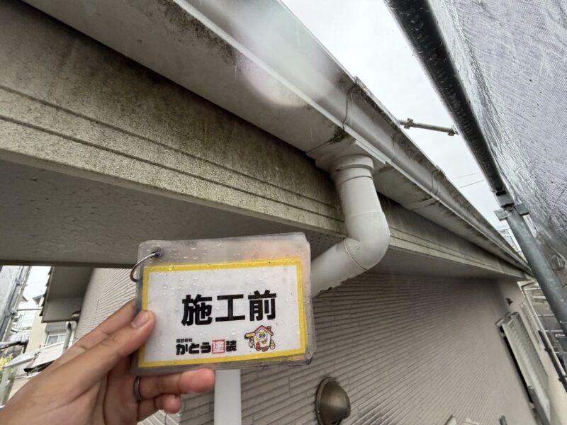 日当たりの悪い箇所は、コケや藻が発生していました。