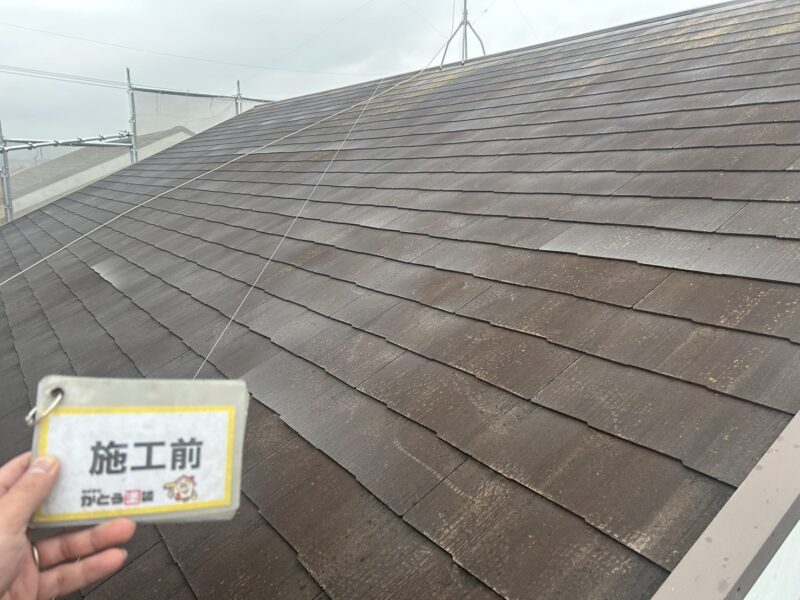 日当たりの悪い箇所には、コケや藻が発生していました。