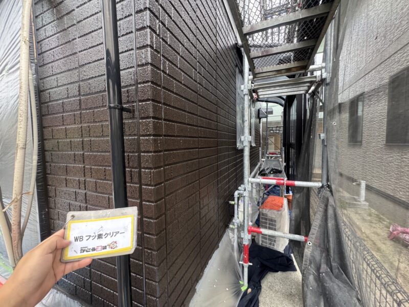 しっかり乾燥させるとこのように艶々になります。