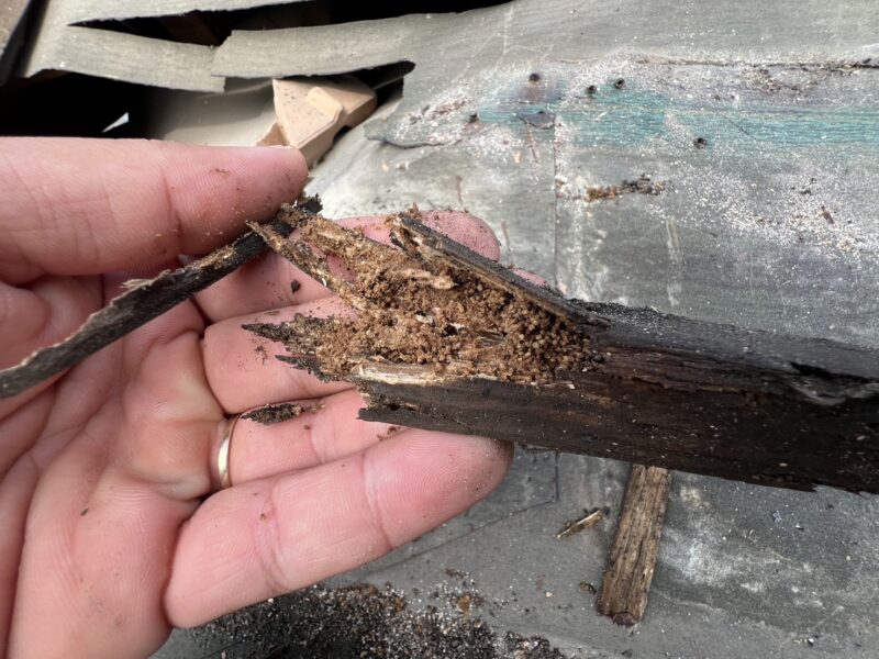 桟木は腐食していて、手で触れただけでボロっと崩れてしまうほどでした。