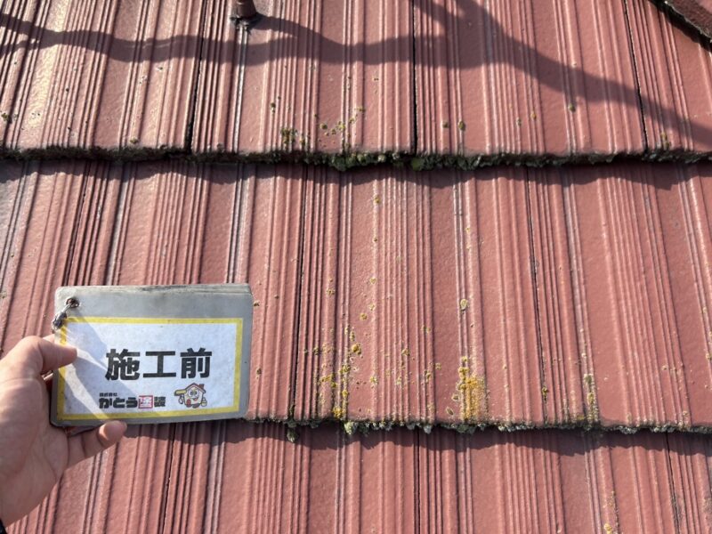 水捌けが悪くなっていて、コケや藻が発生していました。