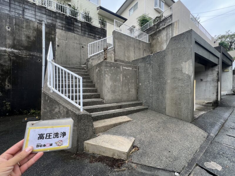 コケや藻に覆われていたとは思えないほど、綺麗になりました。