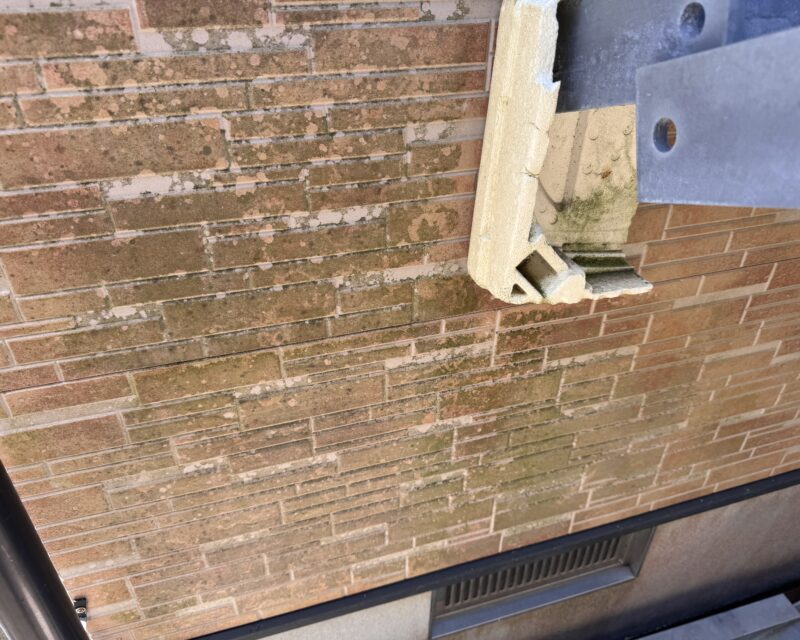 日当たりの悪い箇所は、コケや藻で緑色になり、とても目立ちます。