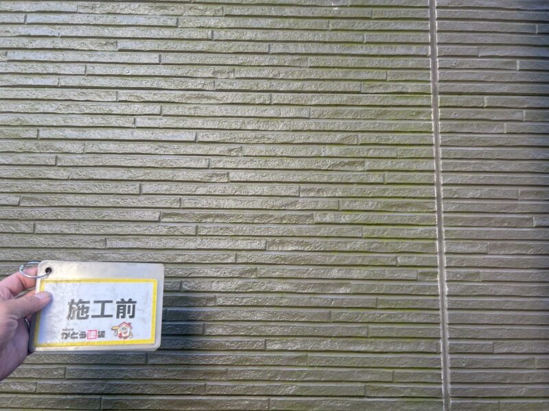 北側の日当たりの悪い面は、コケや藻が付着し緑色になっていました。