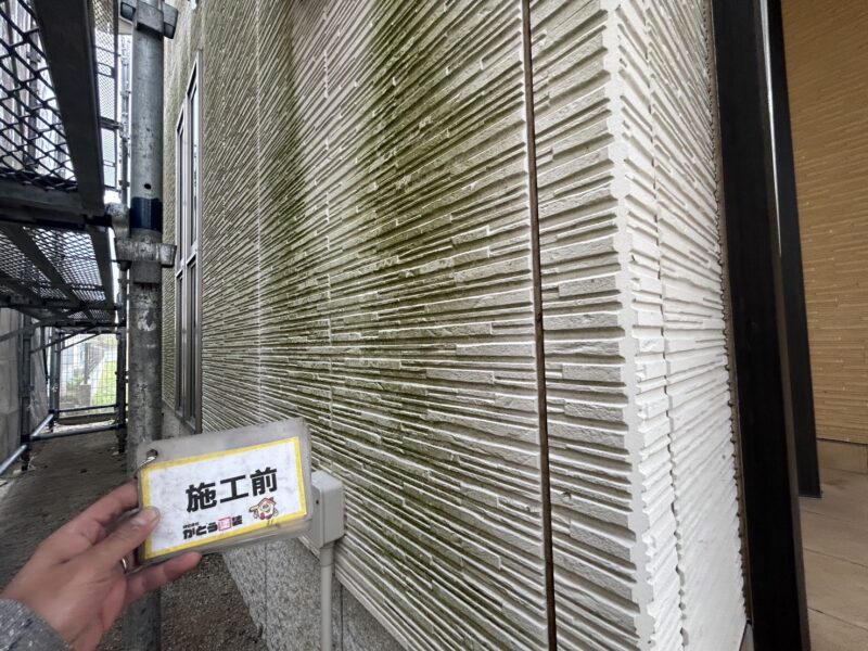 北側の日当たりの悪い箇所には、コケや藻が大量に付着していました。