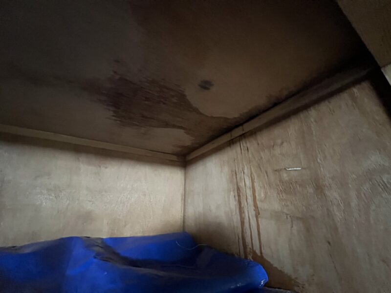 雨漏りは建物内部の腐食やカビの原因となり、建物全体を蝕んでいきます。