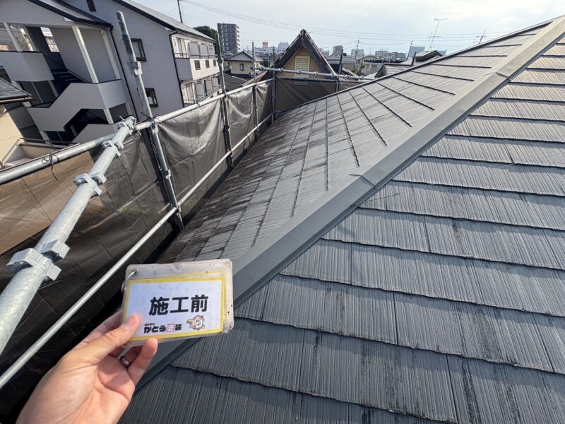 日当たりの悪い箇所には、コケや藻がびっしりと発生していました。