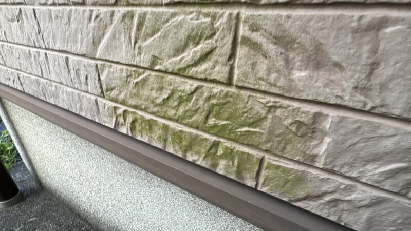 コケや藻がびっしり付着し、外壁が緑色になっていました。