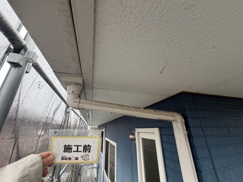 風通しの悪い上部の雨樋は、カビが発生し黒ずんでいました。