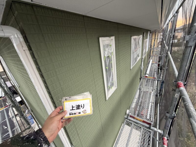 自然を感じる深いグリーンが心を優しく癒してくれます。