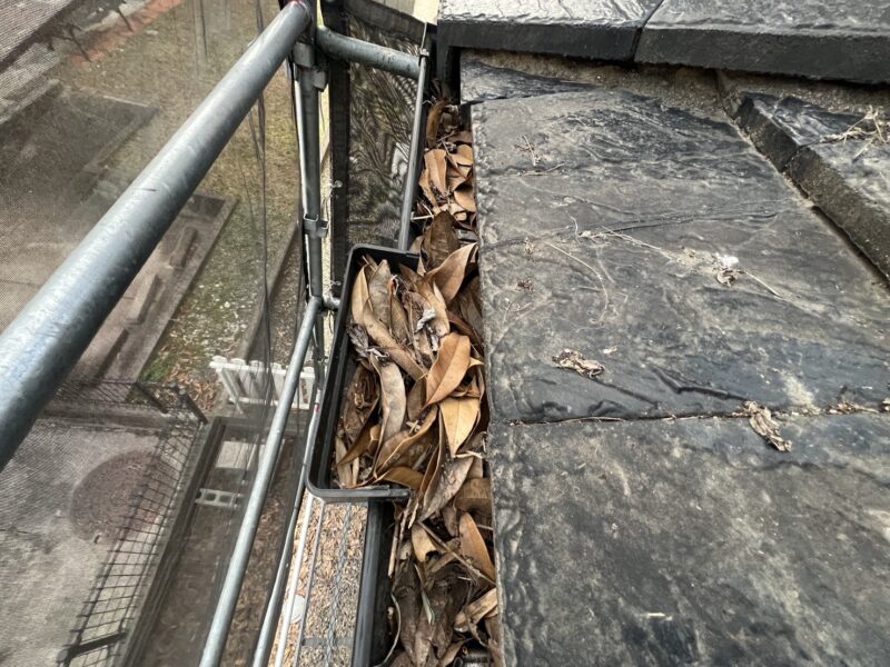 埃が堆積し、その上に落ち葉などが樋の隙間にびっしりと埋まっていました。
