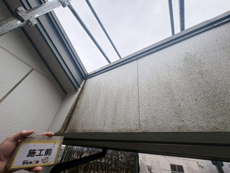 日当たりの悪い箇所は、湿っぽく汚れやコケ藻の温床となりやすいです。