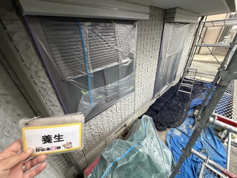 養生の様子です。