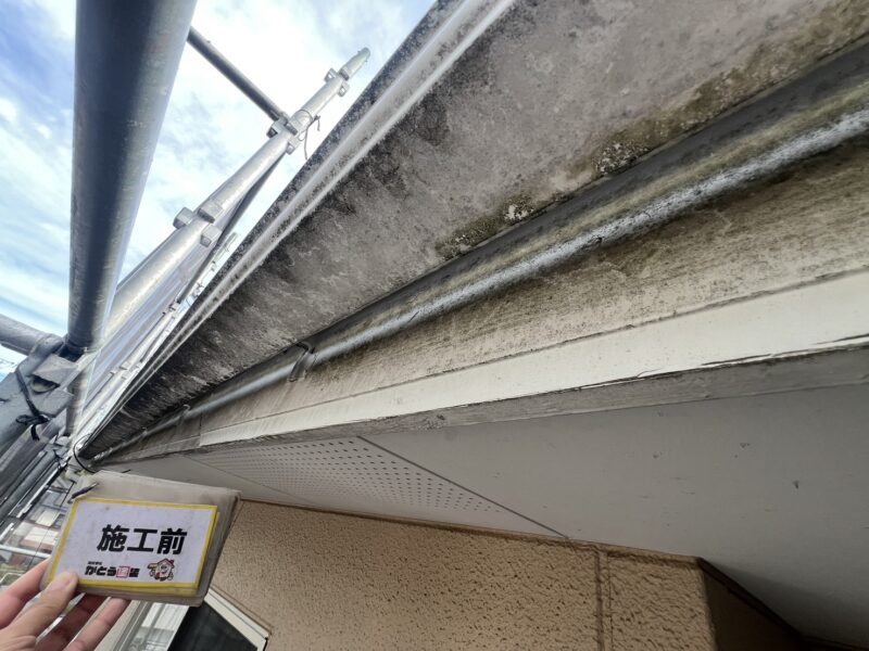 雨樋は真っ黒なカビが大量に増殖し、住む人に害を与えそうなほど汚れていました。