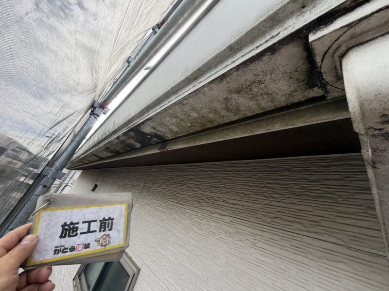 雨樋はコケや藻、汚れがびっしりと付着していました。<br />
日当たりや風通しの悪い箇所は特にこのように汚れやすいです。<br />
