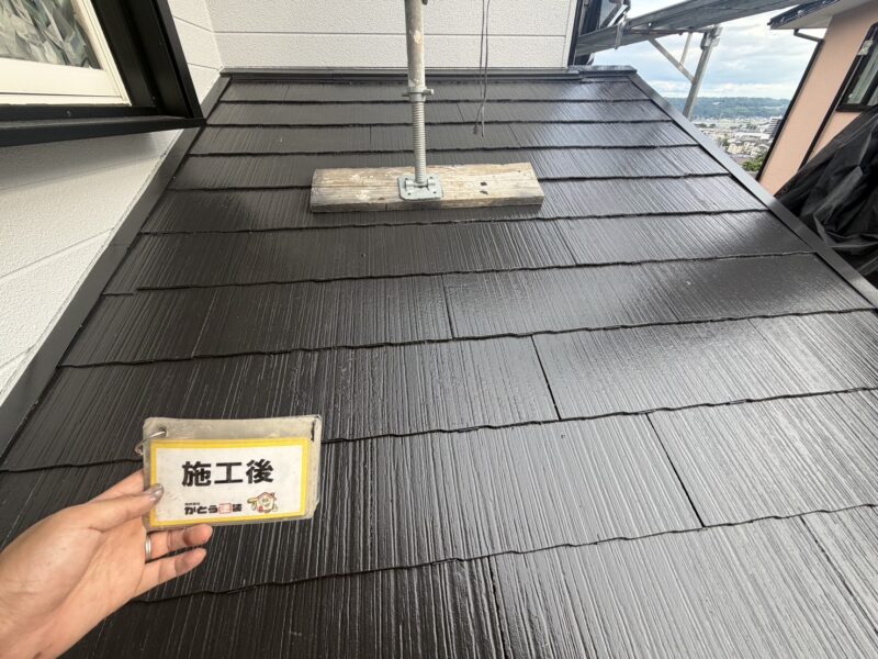 水捌けが悪く日当たりの悪い箇所は、コケや藻が生えやすいですが防カビ・防藻性のある塗料で清潔な住環境をご提案します。